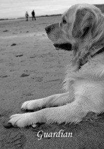 Gardian.  Copyright Schiffer Books & Emily Carding, 2012.