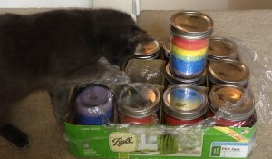 Bluestar is reaching underneath the plastic in order to place her kitty energy into my Chakra 7 Wishes Power Candles.