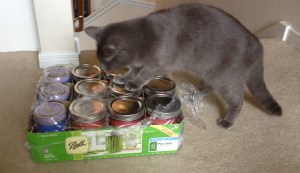 Bluestar blessing my Chakra 7 Wishes Power Candles.