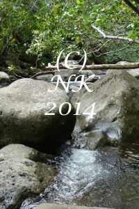 River at Iao State Park, Maui. Copyright Nefer Khepri, 2014.
