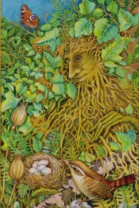 Green Man from The Chrysalis Tarot. Copyright Holly Sierra & US Games Inc 2014.