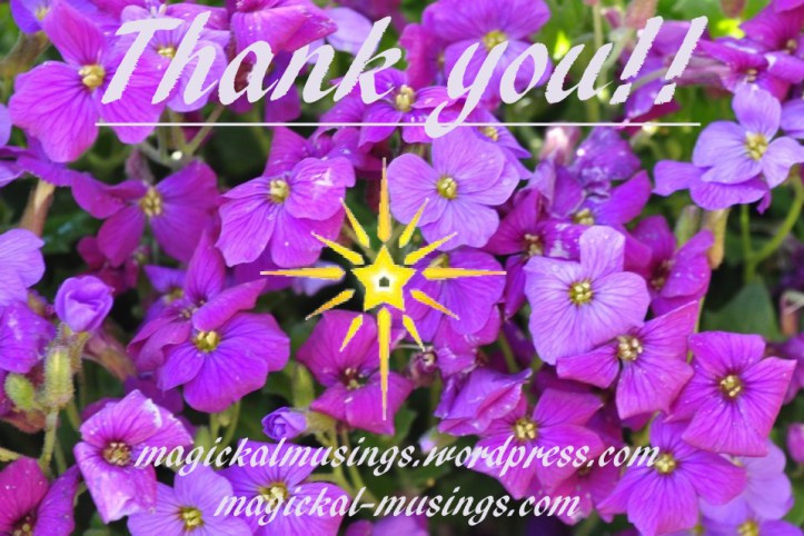 pansies, purple 2012 Ruth Ibbotson