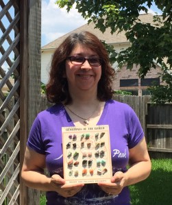 me and my rocks 2015