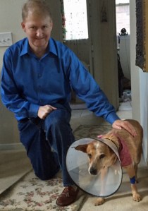 Sheila back home from the vet & a very happy husband to have his beloved dog back home.