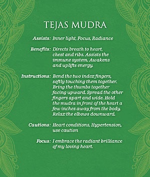 mudras brilliance back