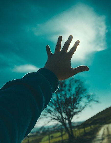 reaching for the moon